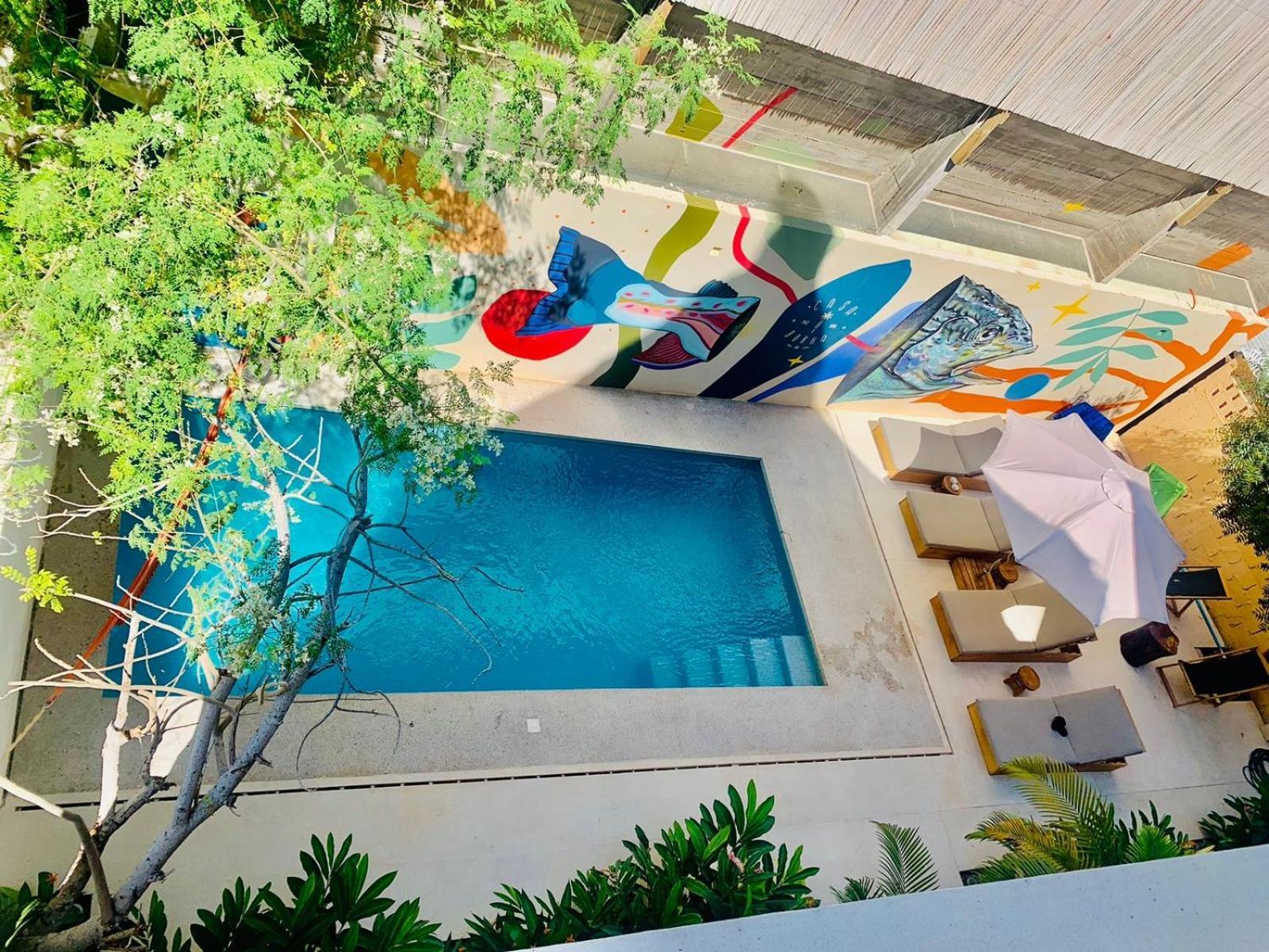 Casa Borka Apartment Puerto Escondido  Exterior foto